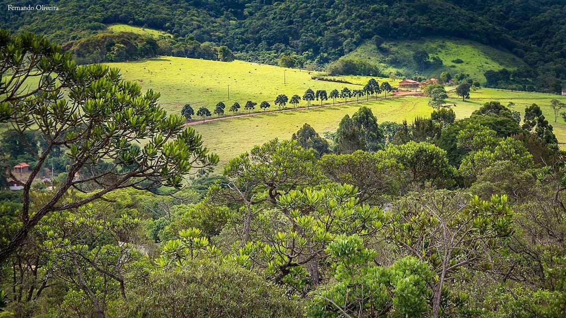 Pousada Chale Da Montanha Sao Thome Das Letras Сан-Томе-дас-Летрас Экстерьер фото